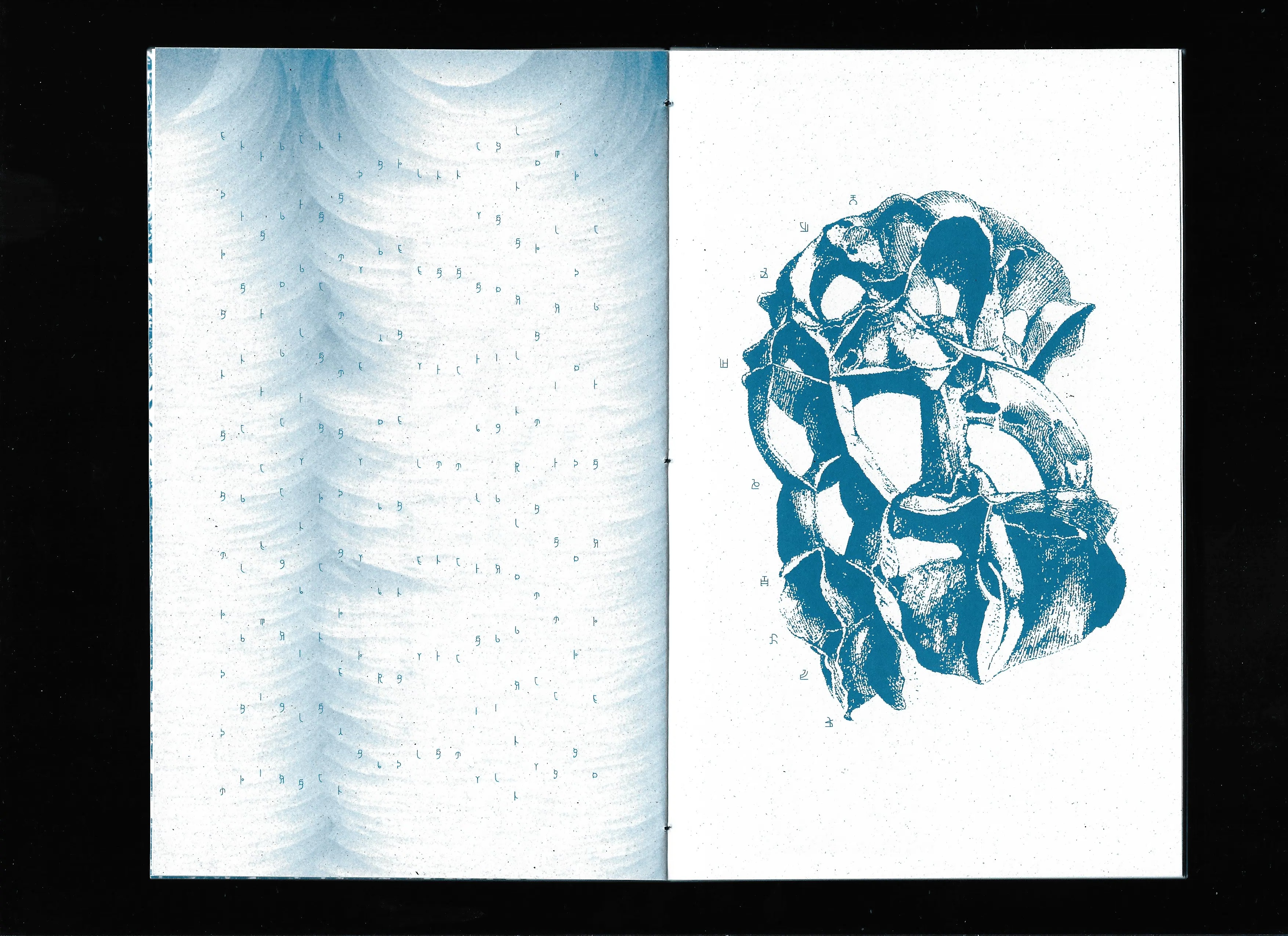 Untimely Diaries From Elsewhere Diari Inattuali D'Altrove