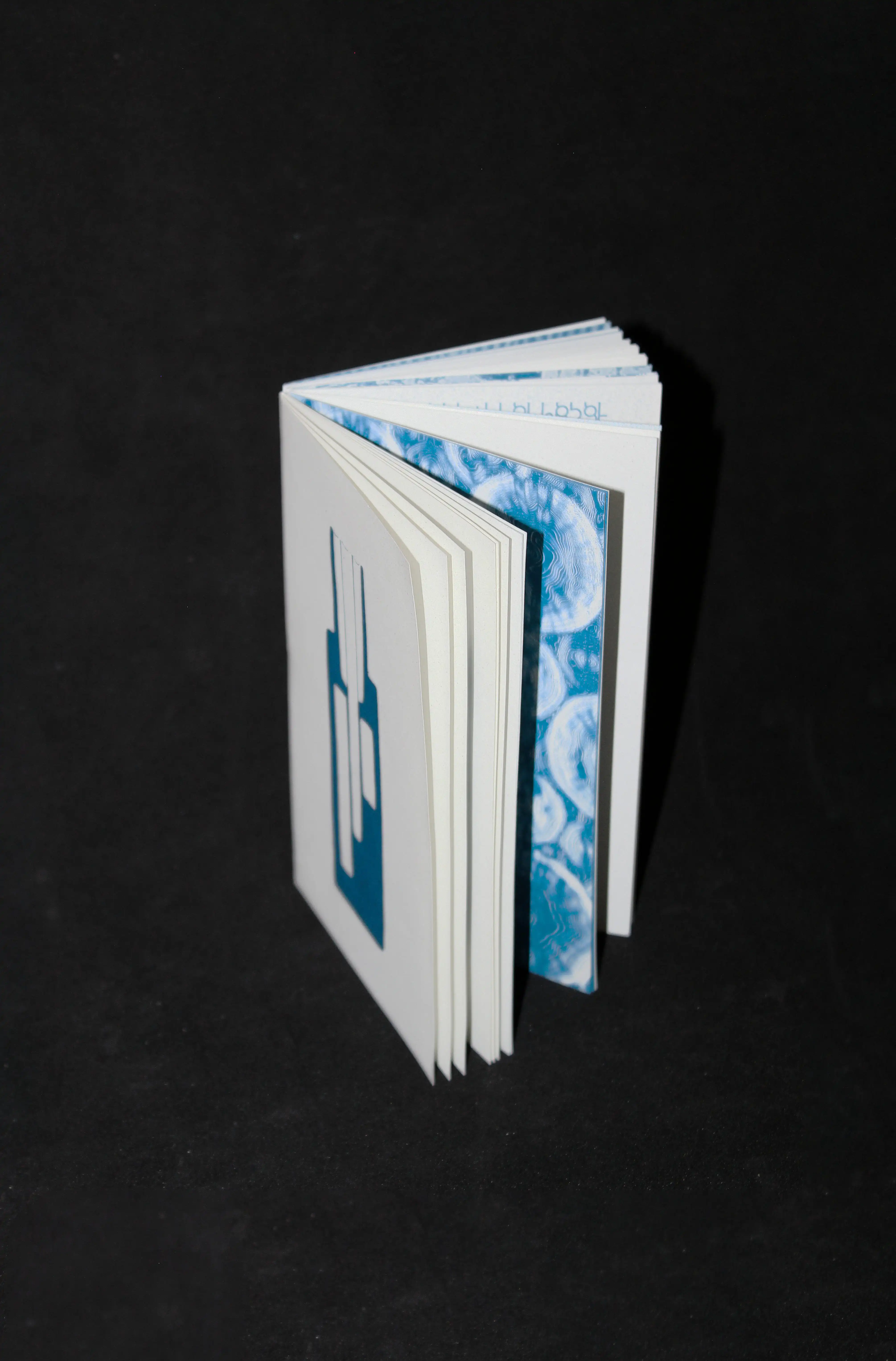 Untimely Diaries From Elsewhere Diari Inattuali D'Altrove