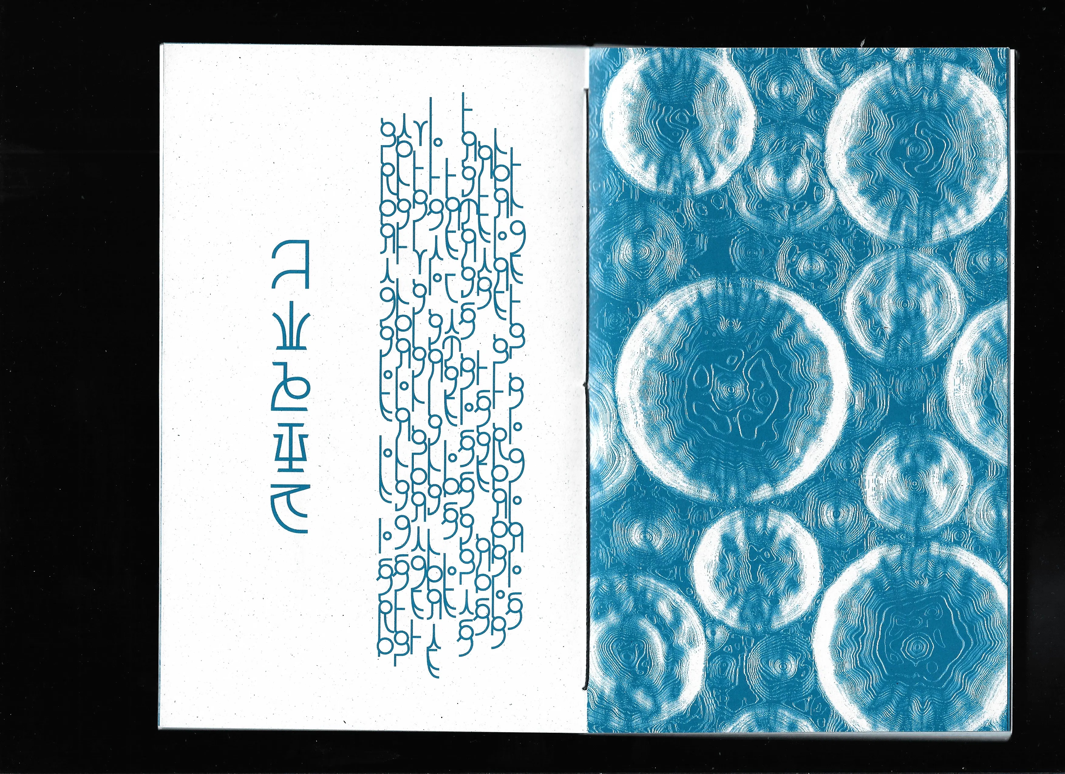 Untimely Diaries From Elsewhere Diari Inattuali D'Altrove