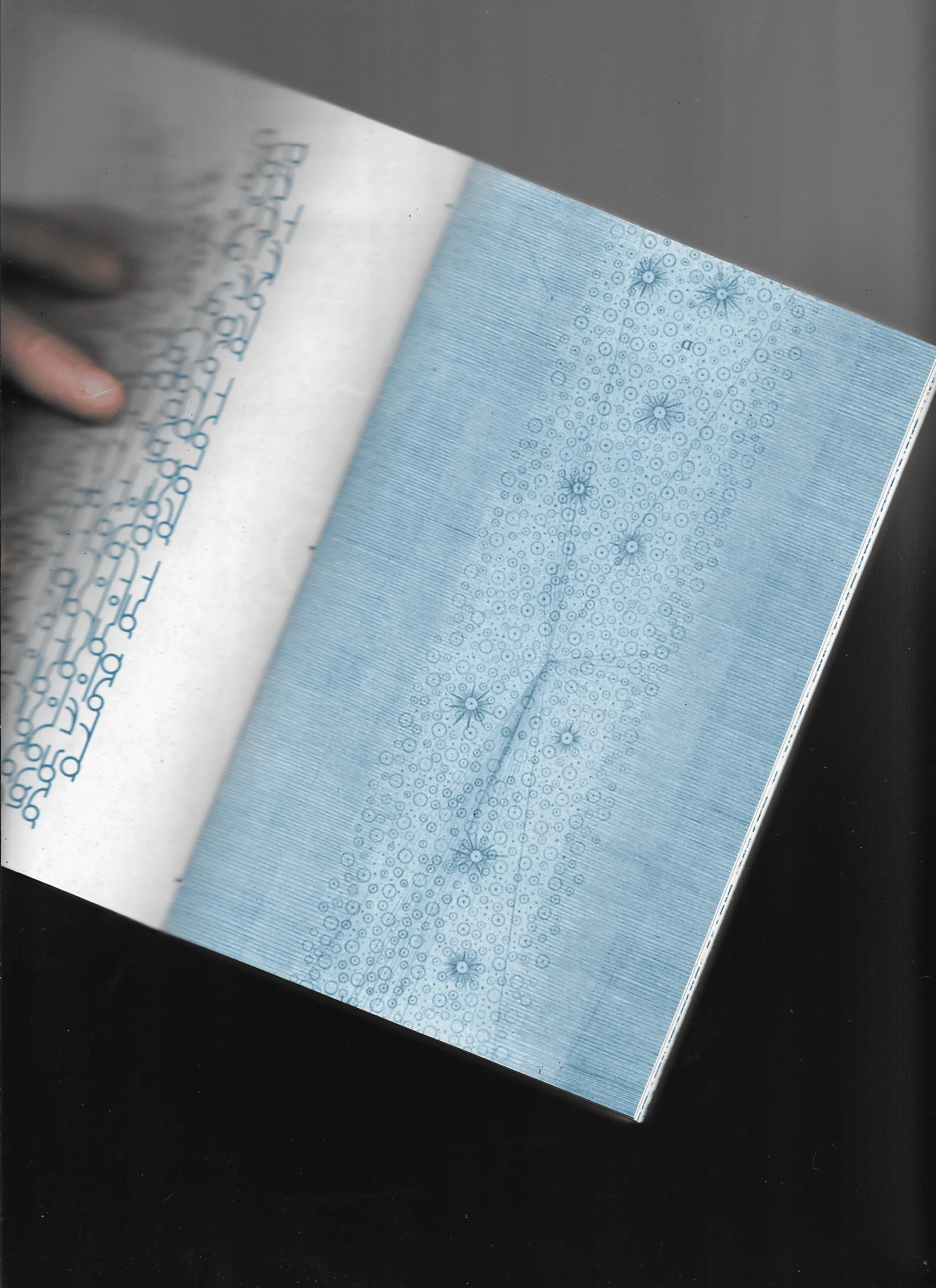 Untimely Diaries From Elsewhere Diari Inattuali D'Altrove